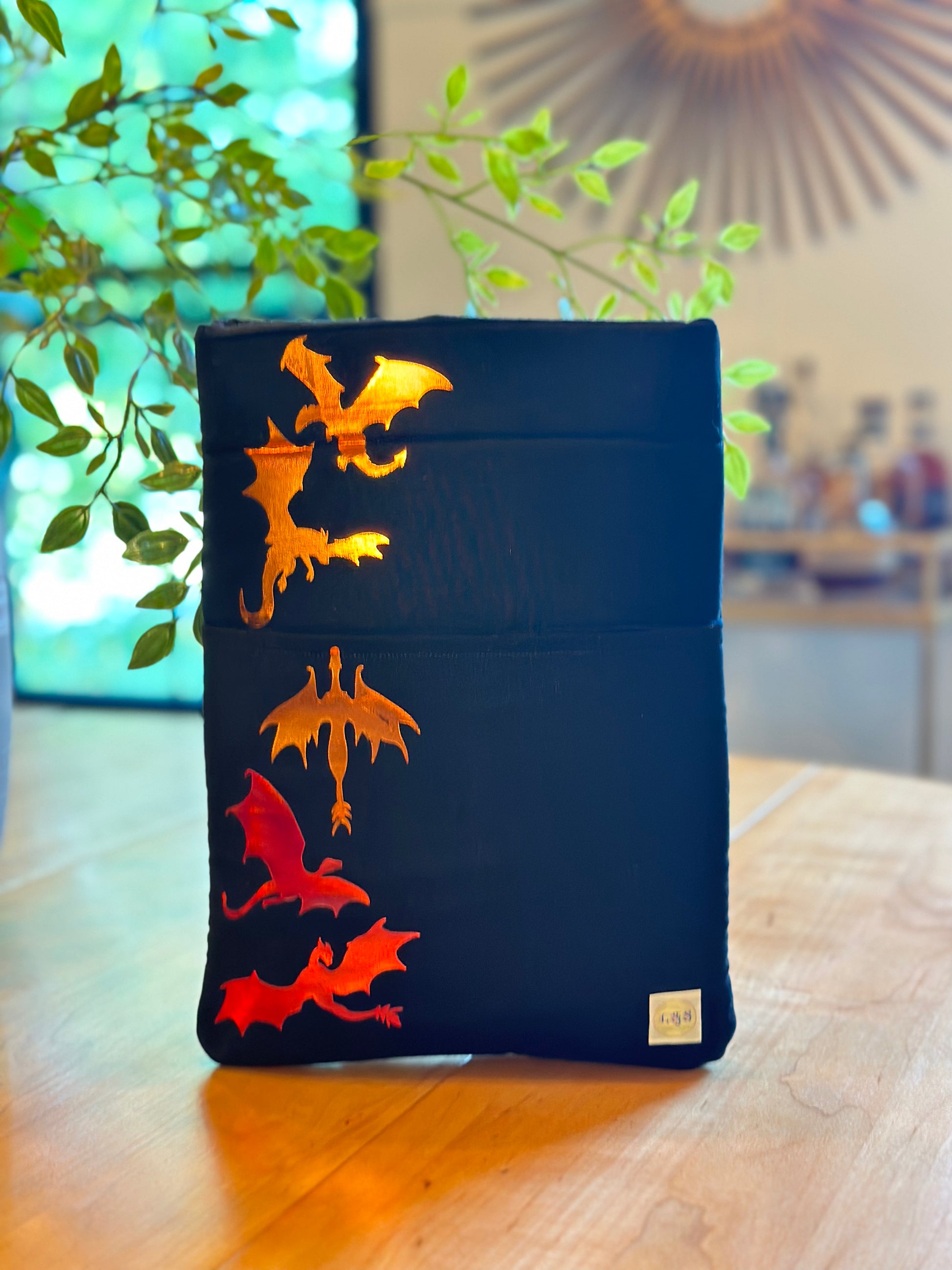 IRON DRAGON L&S Bookish Adventure